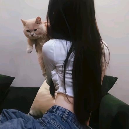 Li Li