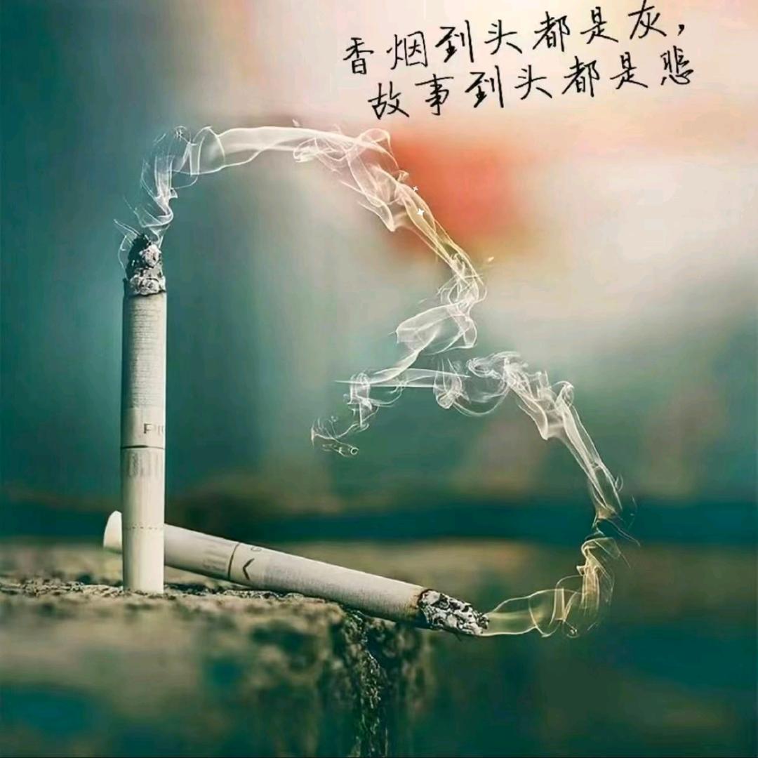 MR_晓宁