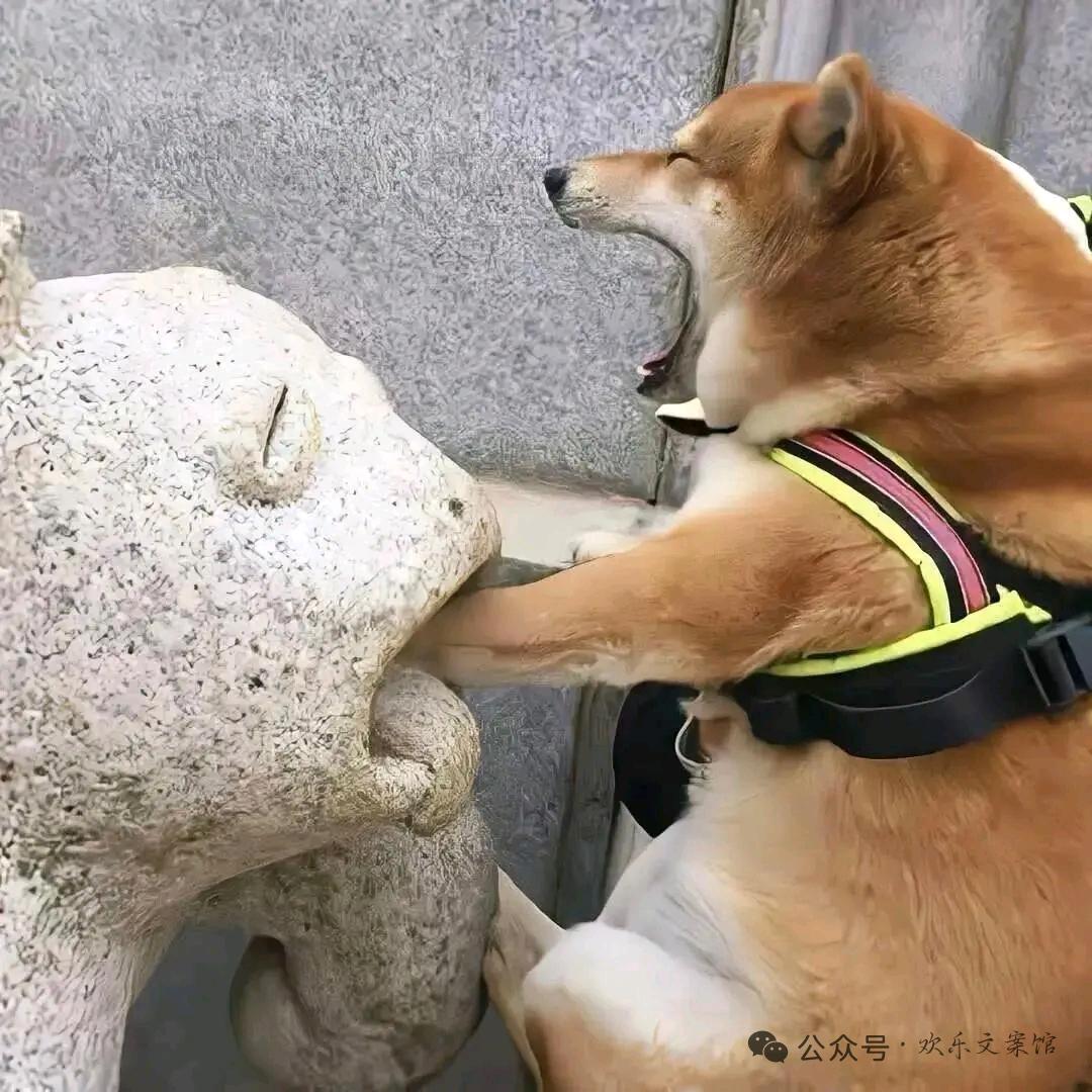 搞点饭吃吃