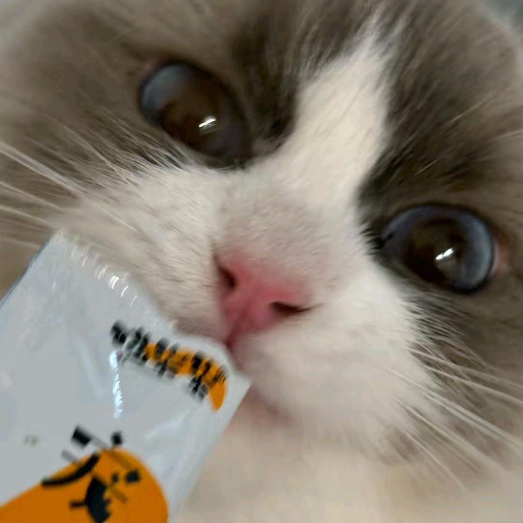 一年不过36个10天而已