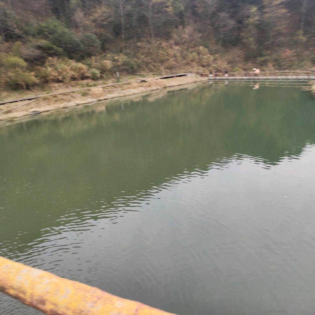 梅梅