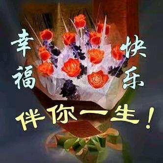 蝴蝶兰