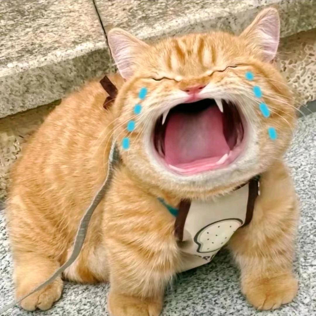 ˶o̴̶̷᷄‸o̴̶̷̥᷅˶
