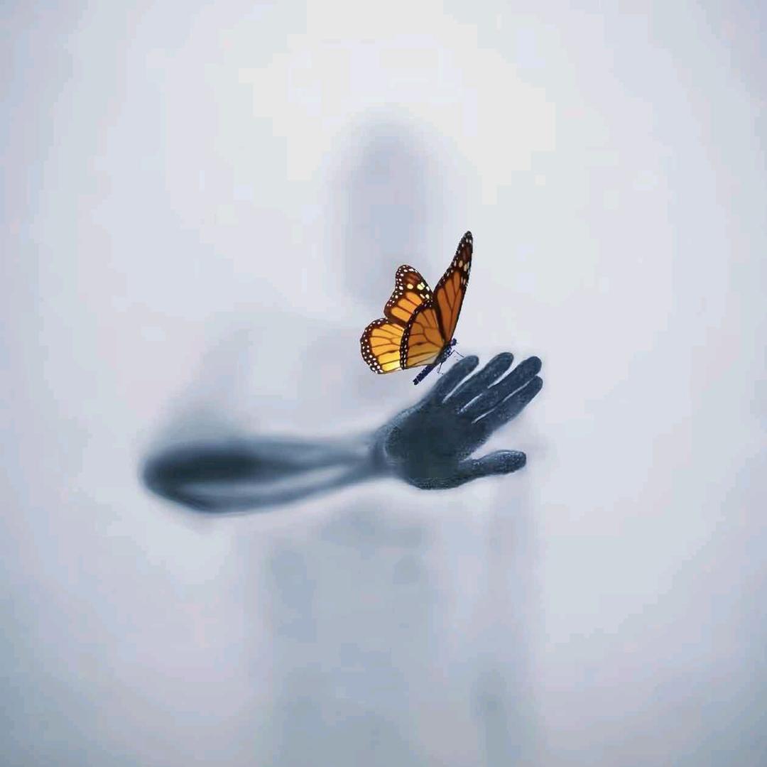 阿木木