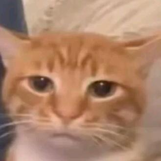 。。。。。。。。