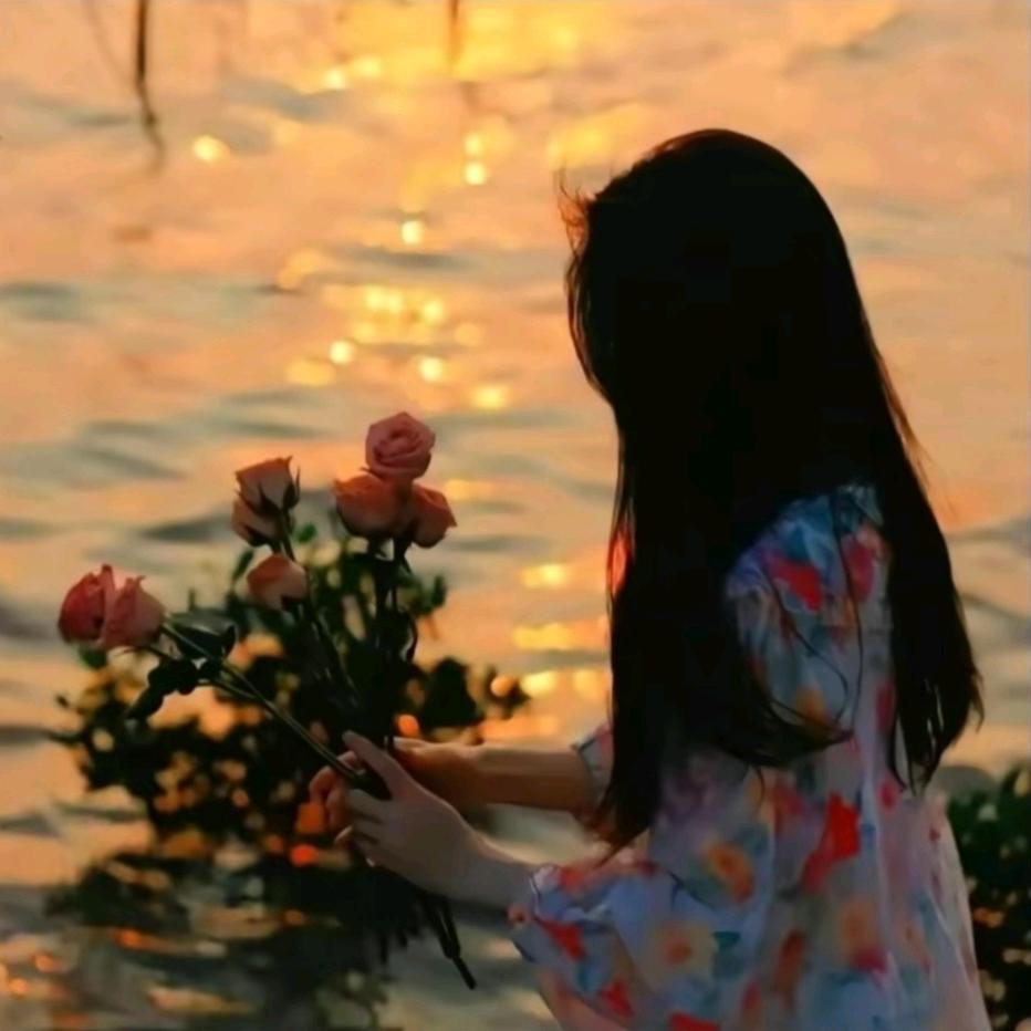 森活鱼块