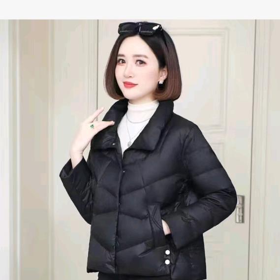 清纯一笑倾红颜🐇芳芳🐇