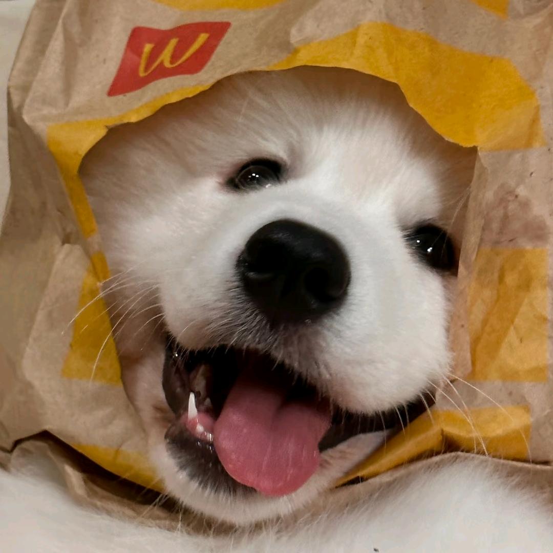？