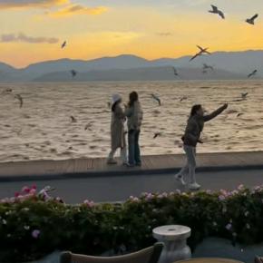 成都亿亿皓优-有情