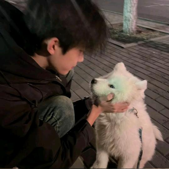 静心