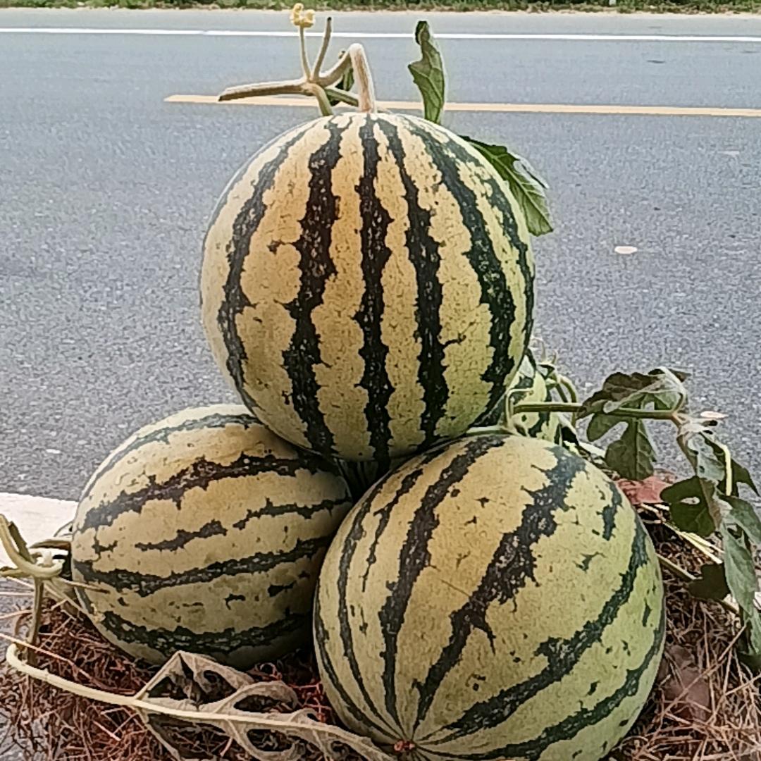 珍惜朋友关注我