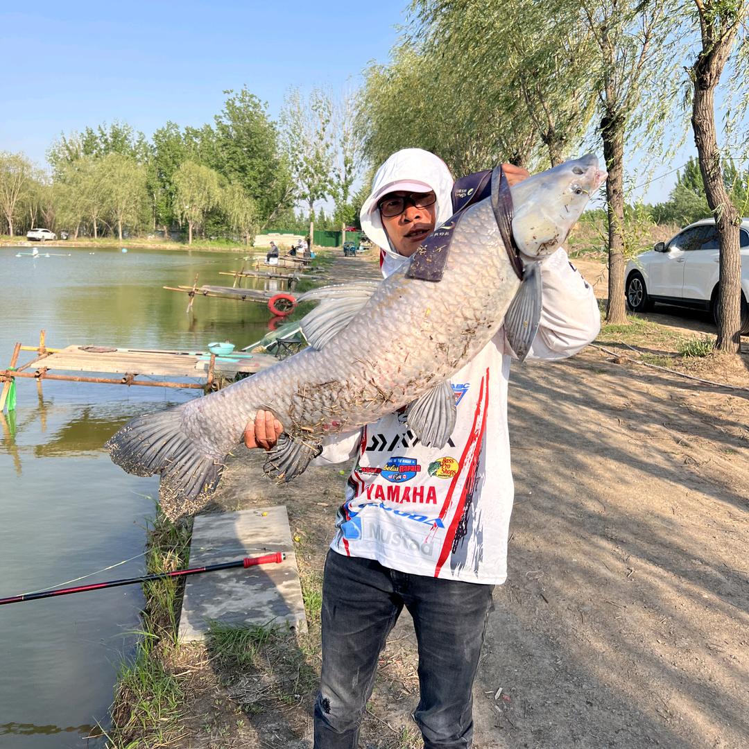 张磊钓黑坑晨萱工坊