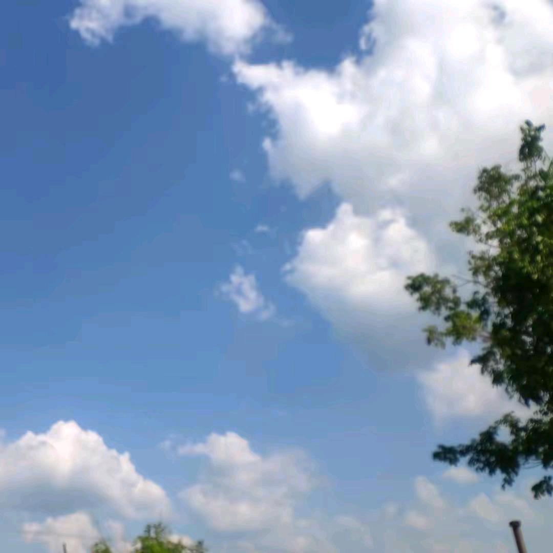 执着。