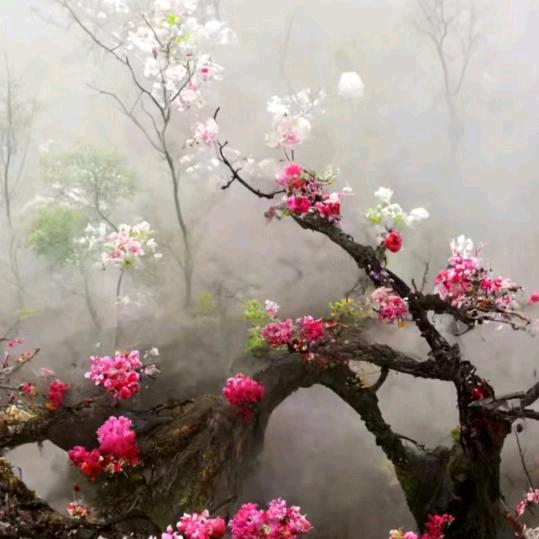 山清水秀💞