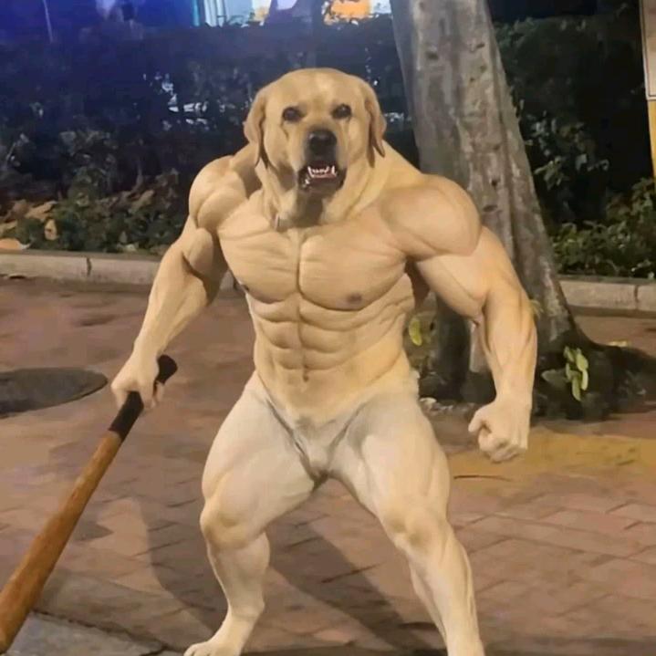 我与春风皆过客