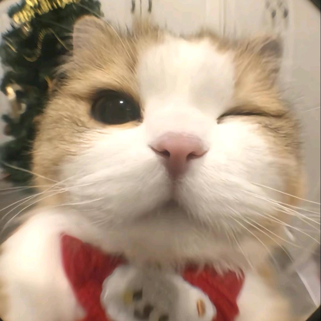 L  .