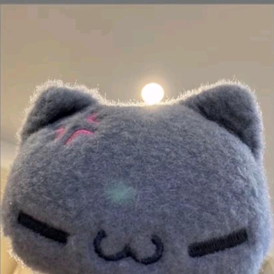 1an