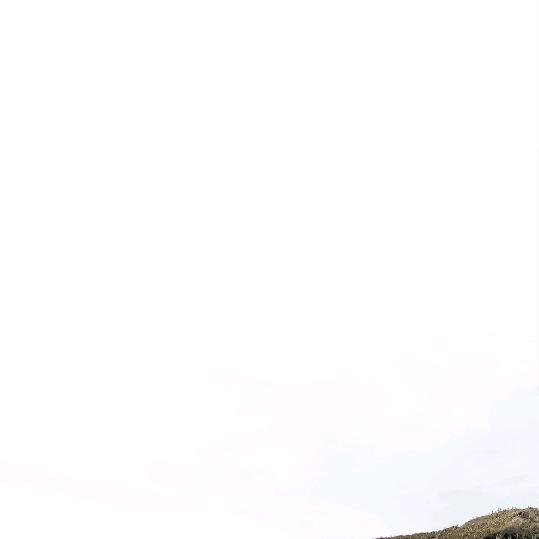 八伊老爷