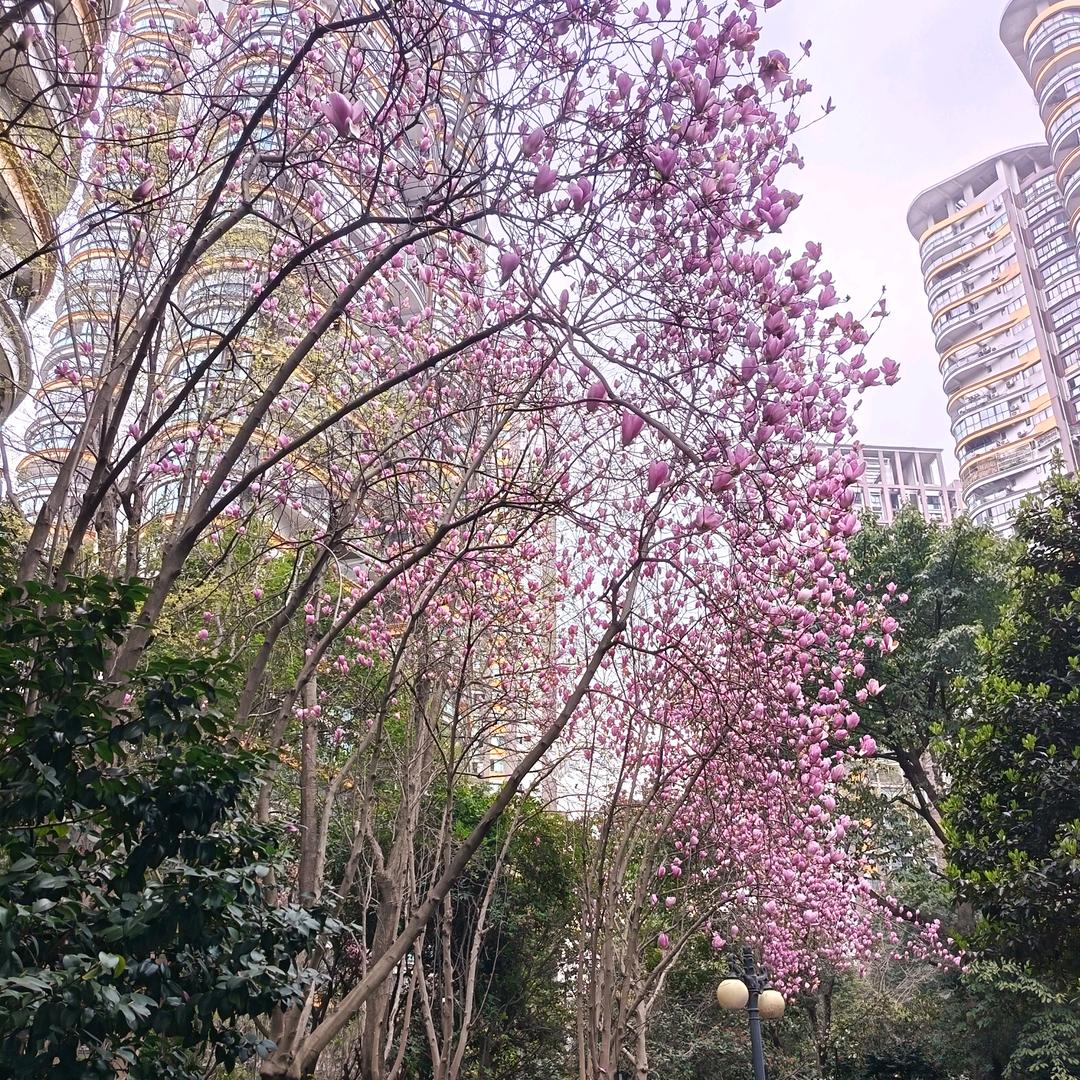 欧克