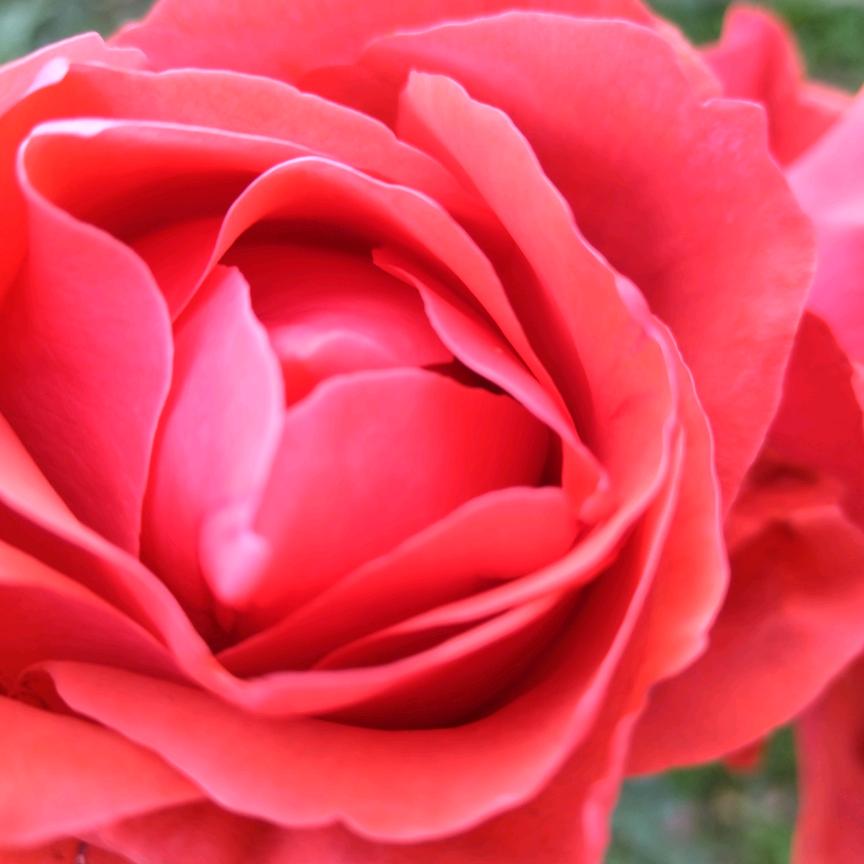 茫茫人海中遇见了你