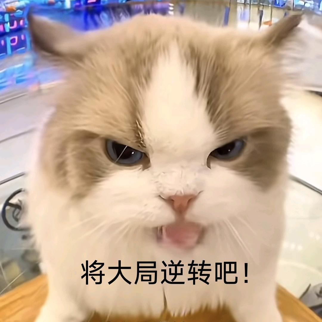 将大局逆转吧！