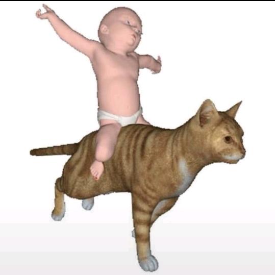猫骑婴儿