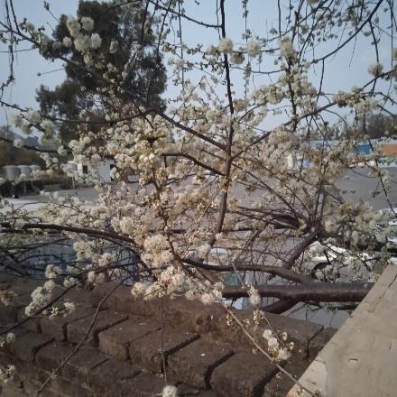 我们家庭的旅行人