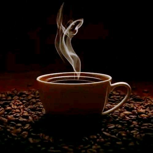 咖啡🥤¹¹⁰⁶