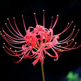冬夜听雨
