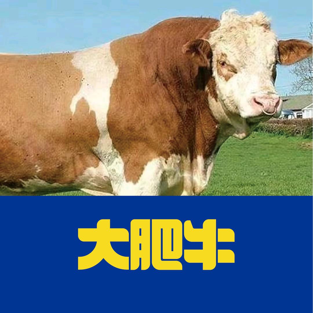 大肥牛-广西阿涛