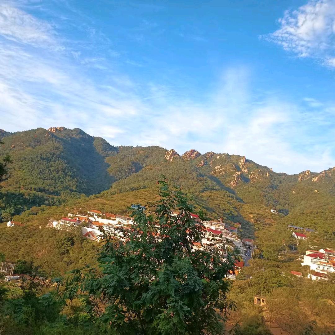 摆摊卖烧烤炸串