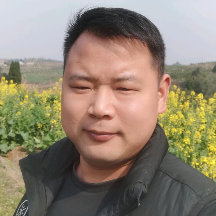 资中鸿超电瓶检测修复中心