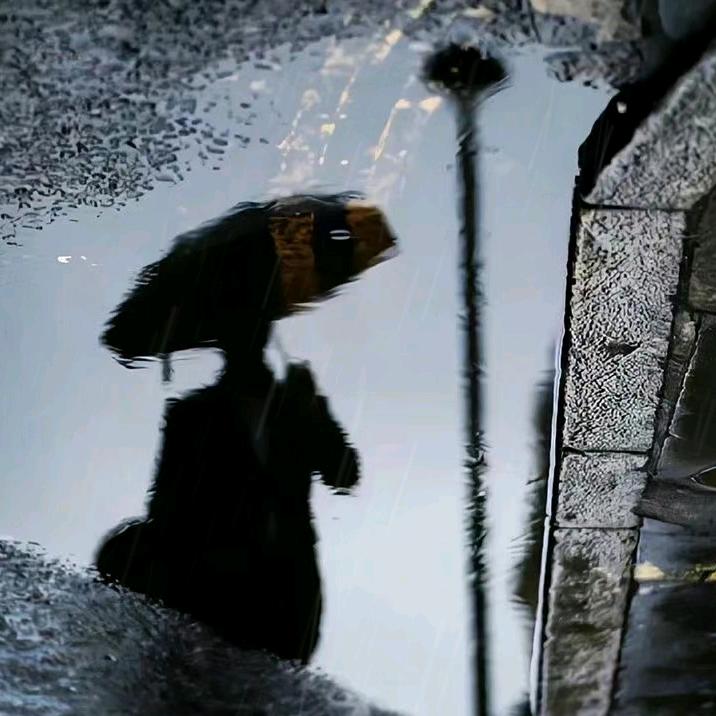边子枫