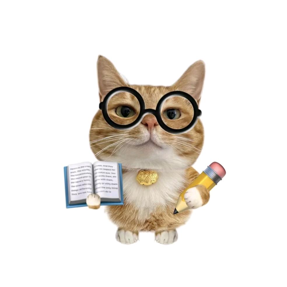 有点小呆（小代）🦭