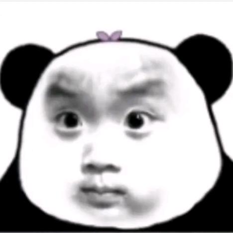X一只鑫