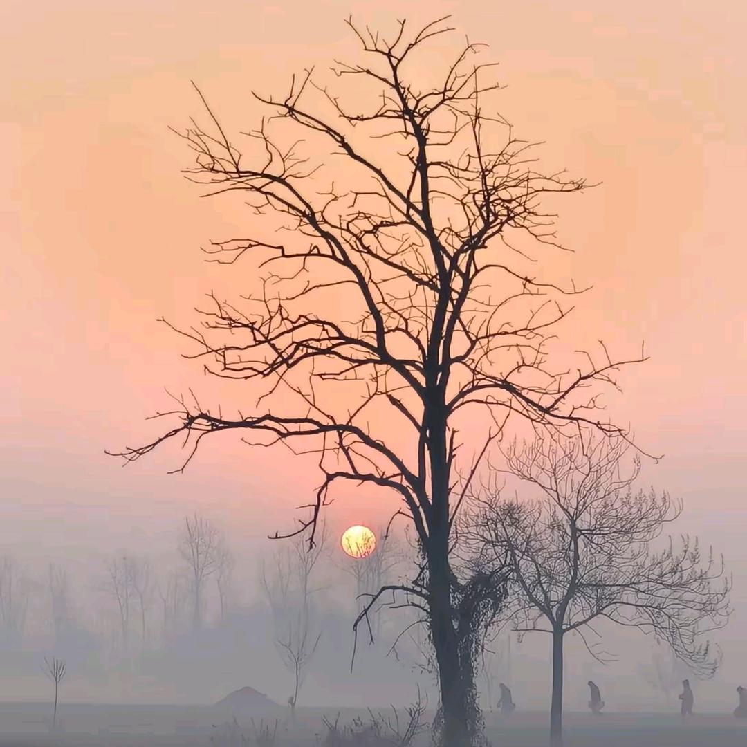 学徒♥（收藏家）