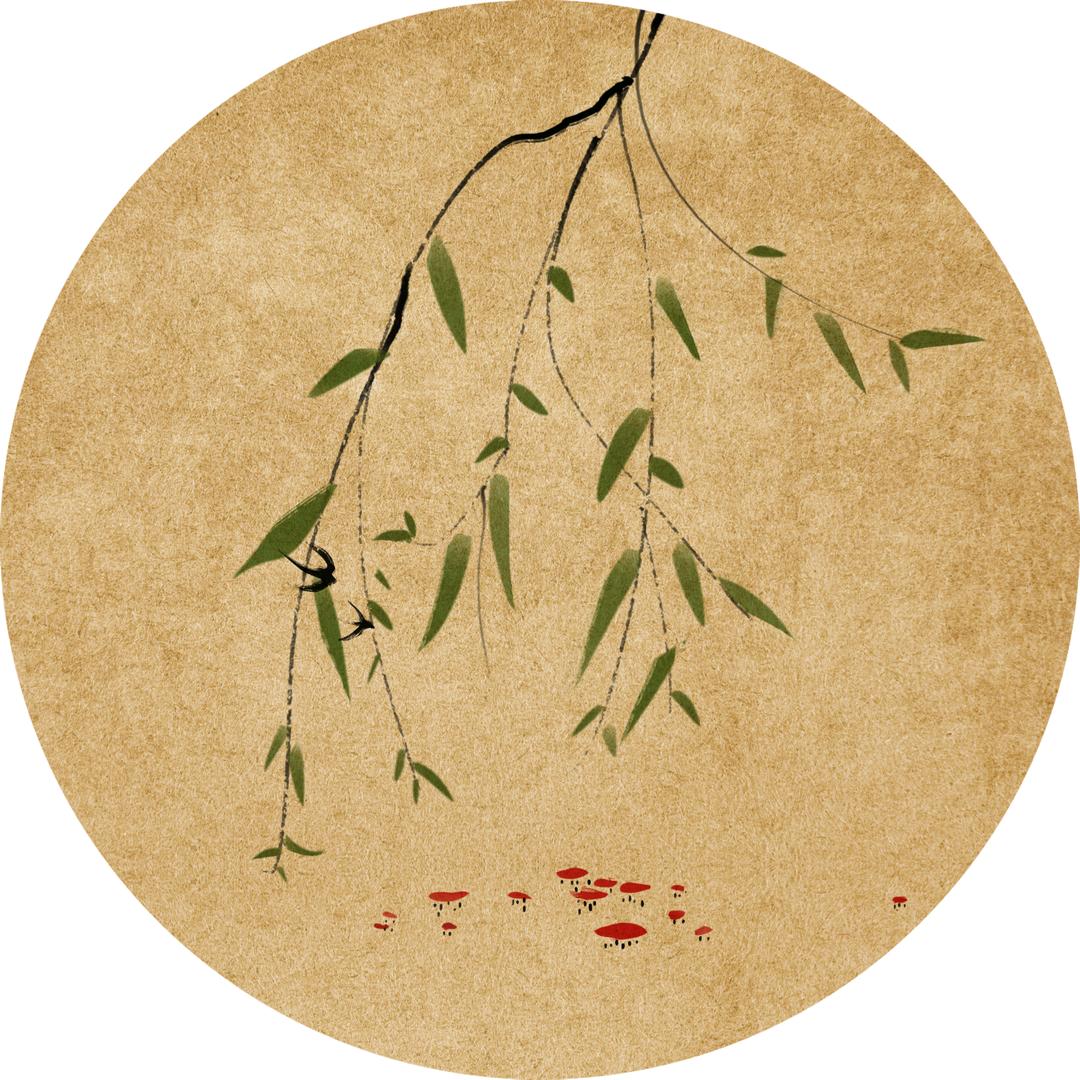 画画的大鹿老师