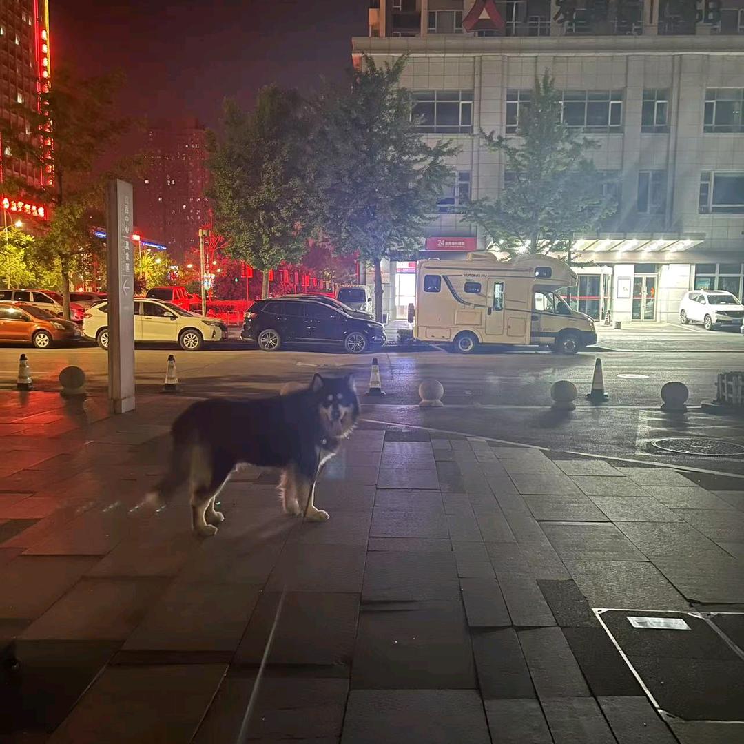 ༒࿈小熊维尼༙྇࿈༒