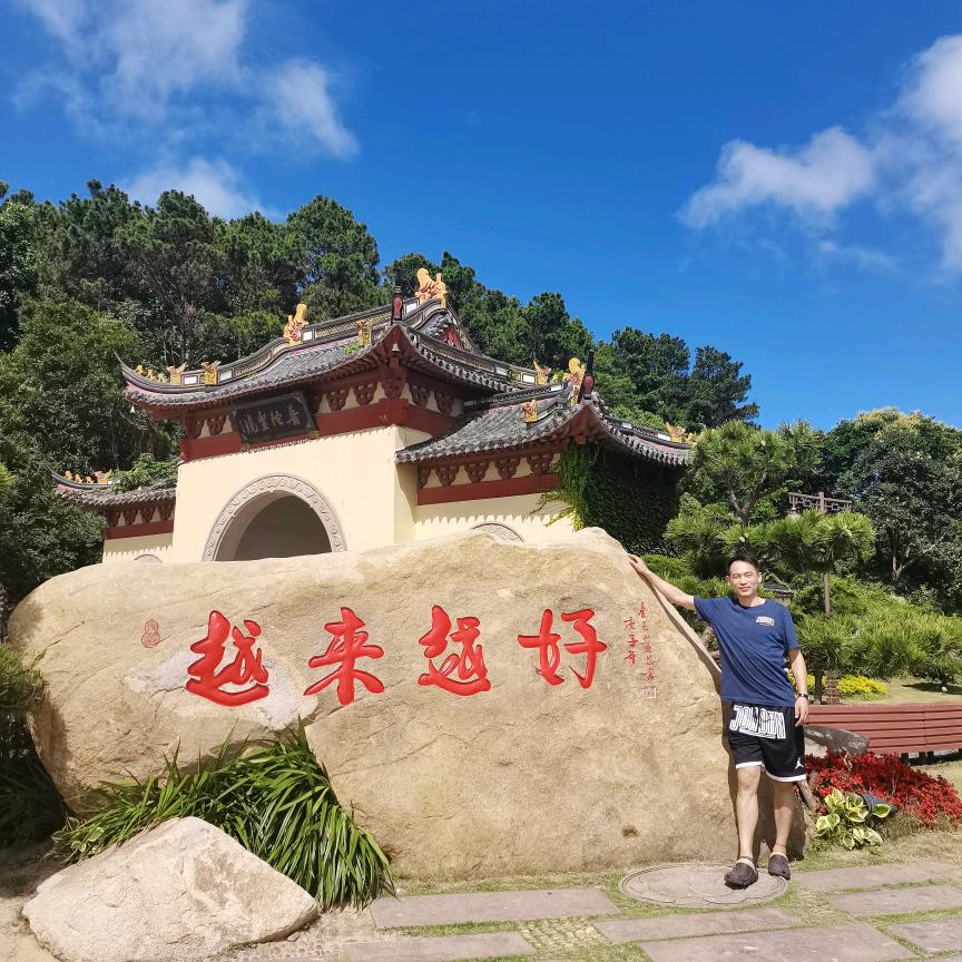社会很单纯