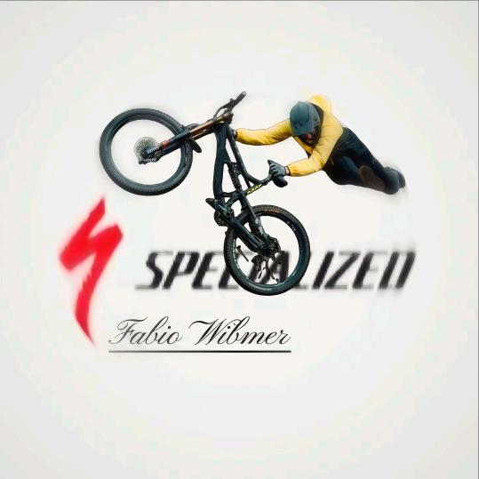 风清(和平精英)