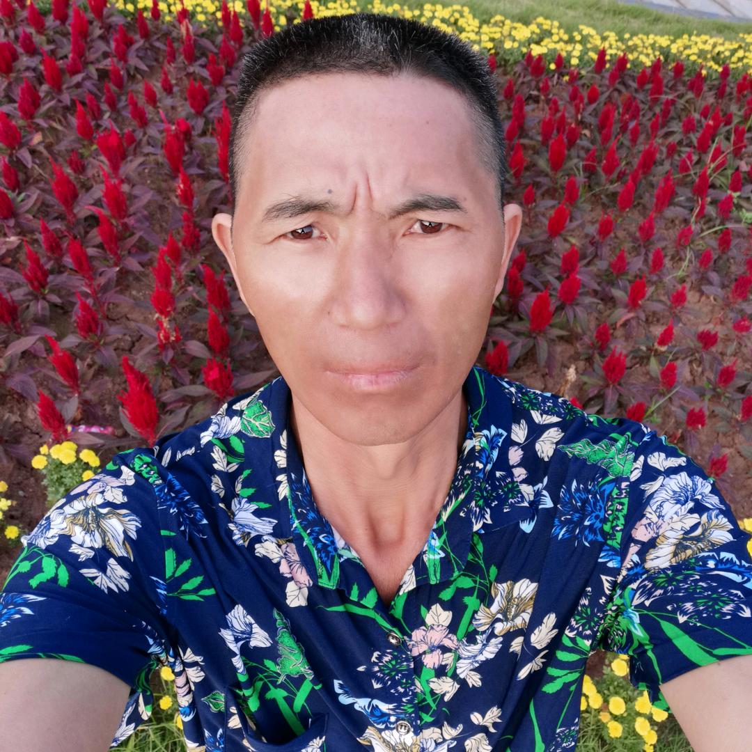 徐发龙