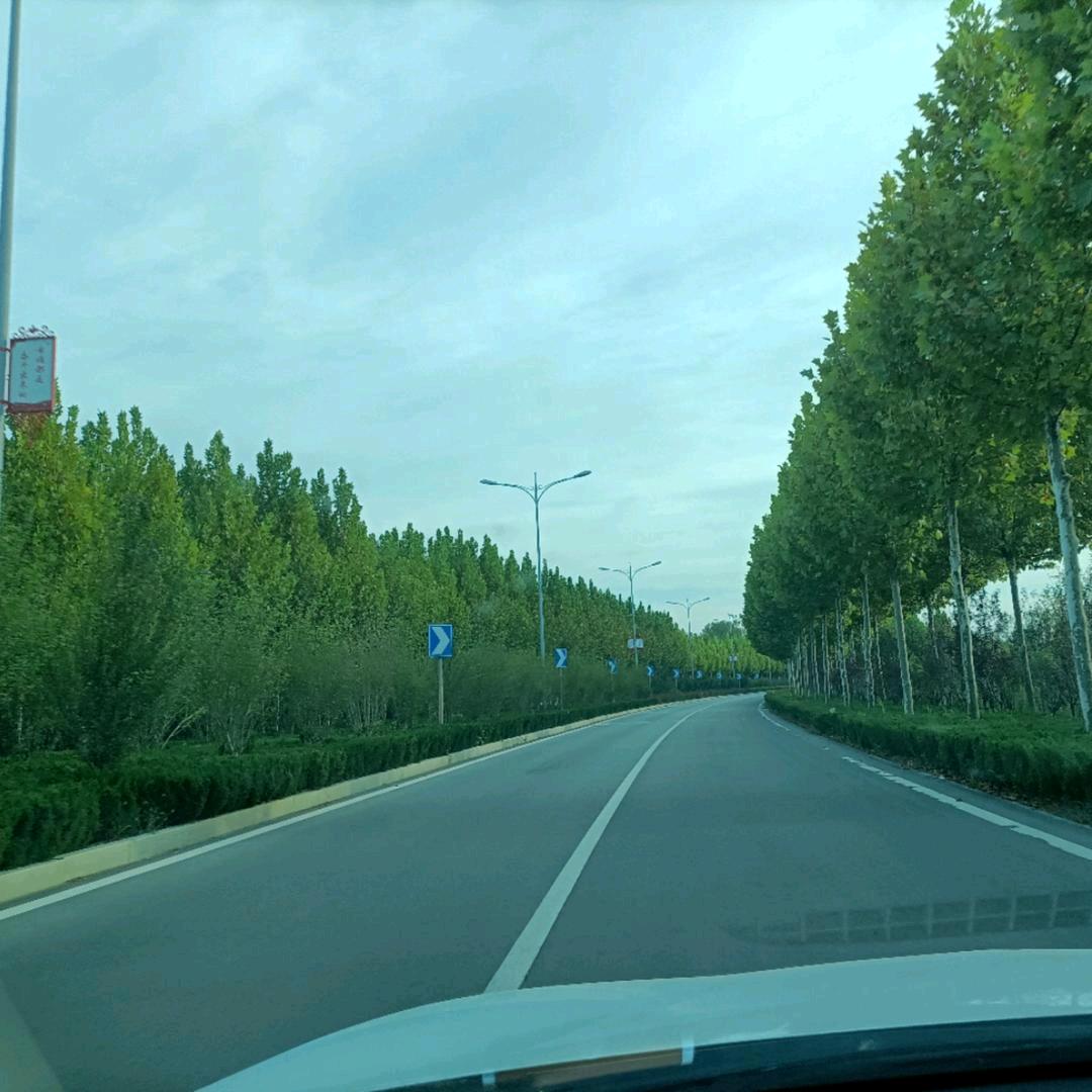 🌴让心❤清玲（拒绝私聊）