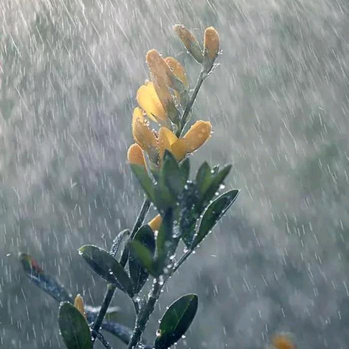 下一年嫁给我🎤🎤🎤🎤🎤🎤