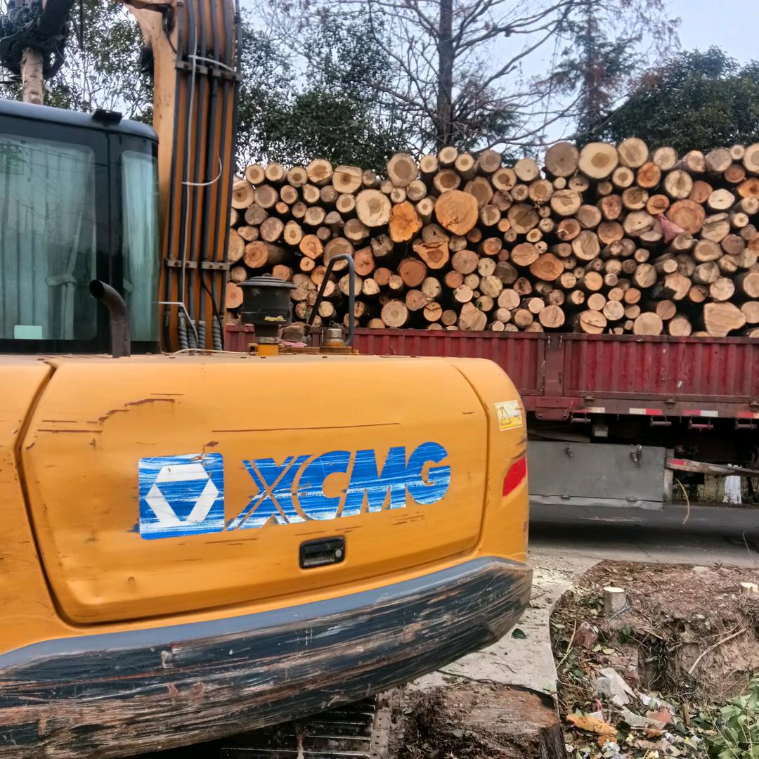 专业收树和木花