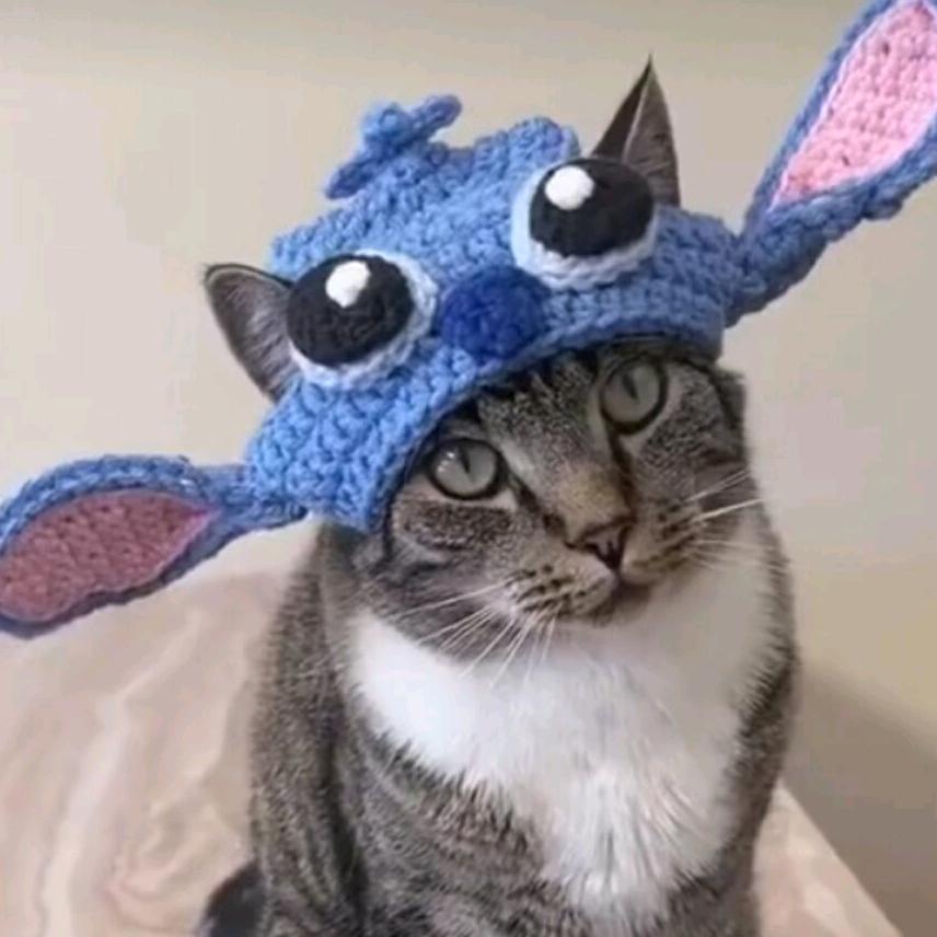 我一定要过四级