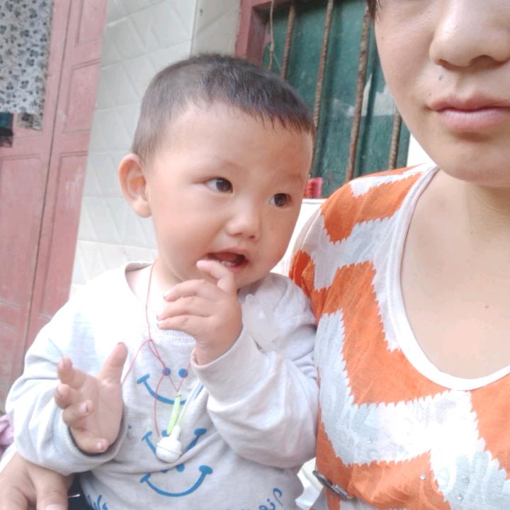 辉鲸