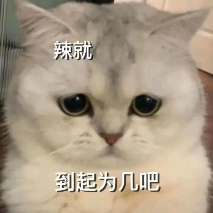 布布扑