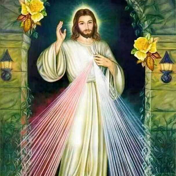 🍀🍀🍀四叶草