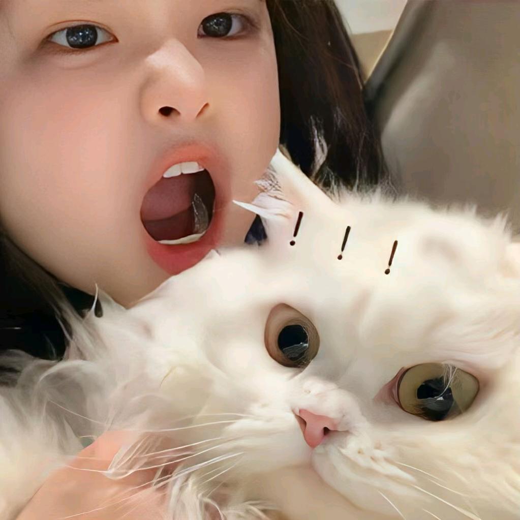 爱吃香香铁锅炖的西西