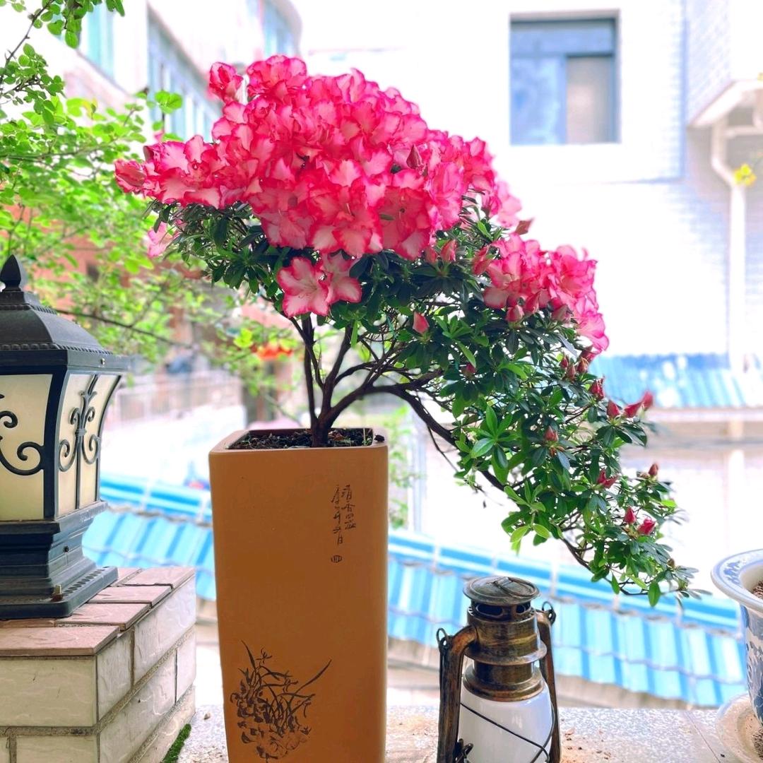 萍水相逢